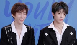 明星黑料ppt,PPT背后的真相與反思