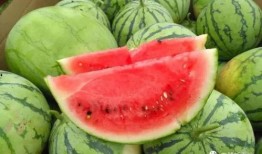 今日吃瓜官網(wǎng),揭秘娛樂(lè)圈最新熱點(diǎn)，帶你暢游八卦海洋