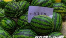 今日吃瓜,揭秘娛樂(lè)圈最新熱點(diǎn)事件