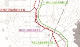 最新進展,多款候選疫苗進入臨床試驗階段