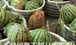 52吃瓜爆料免費(fèi)吃瓜視頻,免費(fèi)暢享熱門(mén)吃瓜視頻盛宴