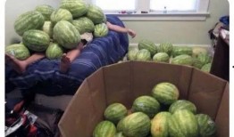 今日吃瓜--今日大賽,吃瓜群眾狂歡盛宴