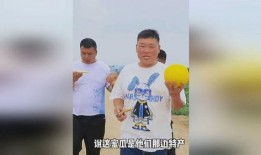 今日吃瓜體育生男友,揭秘校園戀情背后的甜蜜與挑戰(zhàn)