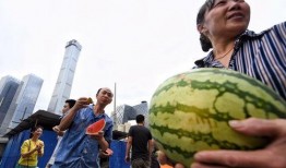 今日吃瓜每日更新朝陽群眾,今日吃瓜，每日更新，揭秘娛樂圈風云