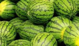 52爆料吃瓜網(wǎng) 每日大賽獨家爆料 今日吃瓜黑料-海外吃瓜,海外娛樂圈獨家揭秘，今日吃瓜黑料大放送！