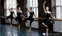 吃瓜體育生和舞蹈室1v1,校園風(fēng)云對決