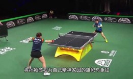 體育圈粉絲,激情燃燒的歲月，熱血沸騰的追隨