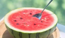 吃瓜網(wǎng)官網(wǎng)免費(fèi)觀看,熱門劇集一網(wǎng)打盡！