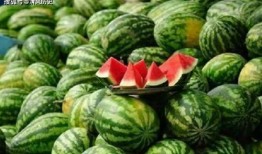 吃瓜網(wǎng)官網(wǎng),帶你領(lǐng)略網(wǎng)絡(luò)娛樂(lè)資訊的盛宴