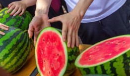 今日吃瓜全集完整版,揭秘娛樂圈幕后真相，帶你領(lǐng)略明星們的真實生活