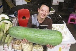 52每日大瓜視頻