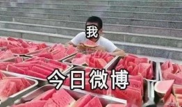 每日大賽 每日吃瓜,揭秘娛樂圈幕后故事