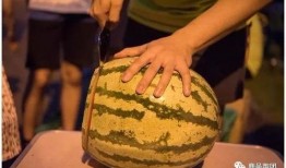 吃瓜每日大賽,年度熱門事件盤點，揭秘娛樂圈幕后真相