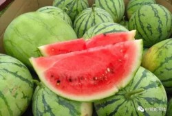 今日吃瓜51cg,揭秘娛樂圈最新熱點(diǎn)事件