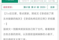 v1小說(shuō),穿越時(shí)空的奇幻冒險(xiǎn)之旅