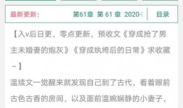 v1小說(shuō),穿越時(shí)空的奇幻冒險(xiǎn)之旅