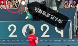 體育圈粉絲,激情燃燒的歲月，熱血沸騰的追隨