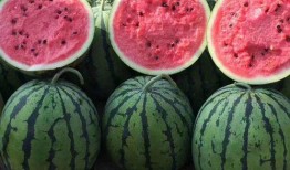 吃瓜網(wǎng)官網(wǎng)免費觀看,熱門劇集一網(wǎng)打盡！