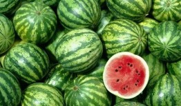 今日吃瓜在哪下載,揭秘“在哪下載”的便捷之旅