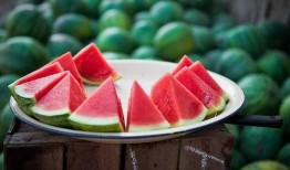 吃瓜網(wǎng)官網(wǎng),帶你領(lǐng)略網(wǎng)絡(luò)娛樂資訊的盛宴