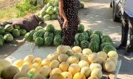 熱點(diǎn)吃瓜,吃瓜群眾如何解讀明星事件