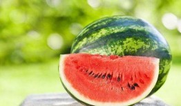 吃瓜網(wǎng)官網(wǎng),帶你領(lǐng)略網(wǎng)絡(luò)娛樂(lè)資訊的盛宴