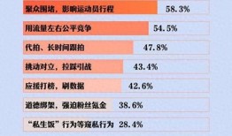 體育圈飯圈化,粉絲經濟下的新現(xiàn)象解析