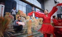 今日吃瓜每日更新朝陽群眾,今日吃瓜，每日更新，揭秘娛樂圈風云