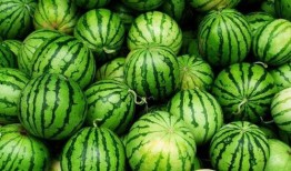 今日吃瓜每日必吃,每日必吃，揭秘娛樂圈新鮮事