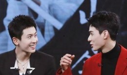 娛樂圈雙男主,雙男主攜手演繹娛樂圈的璀璨傳奇