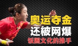 體育圈不是飯圈,超越飯圈，聚焦運(yùn)動(dòng)精神